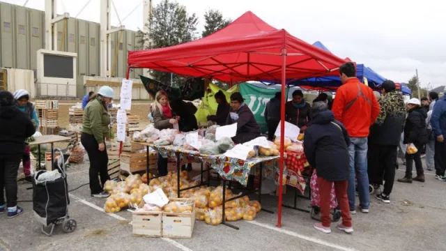 Más de 150 pequeños emprendedores mostraron “productos de nuestra tierra” (miles de personas asistieron a la feria)