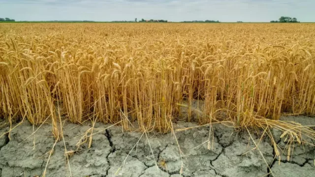 La sequía agrícola en Europa es cada vez más frecuente, intensa y duradera