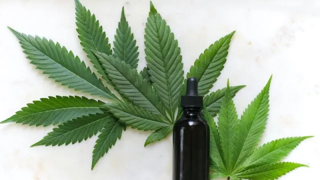Llega a LatAm Dr. Gea, la plataforma online para comprar cannabis de uso medicinal y realizar consultas médicas (próximamente en Argentina)