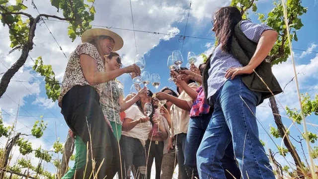 Las mujeres del vino, en la mesa de las decisiones