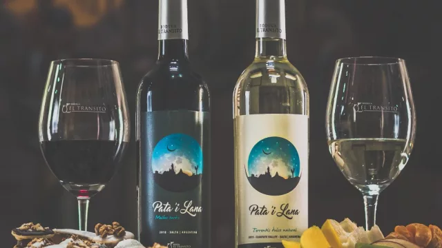 Bodega El Tránsito: emblemática desde 1885 y la curiosa historia del vino ´Pata i Lana’ (que todo el mundo busca) 