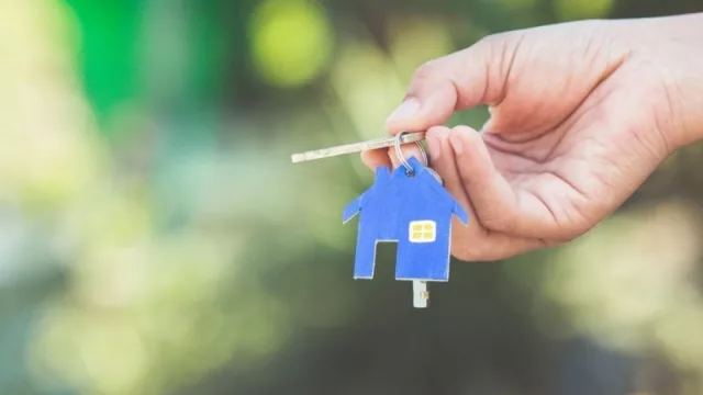 ¿Cuáles son algunos de los seguros más contratados en la actualidad?