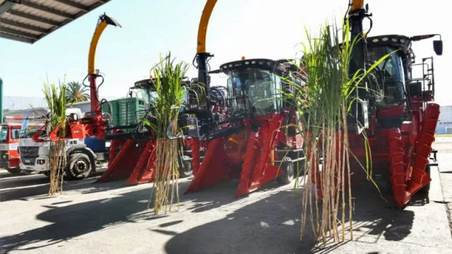 Se reactiva el principal motor de la economía tucumana: el Ingenio Leales inició su campaña de la zafra 2022 