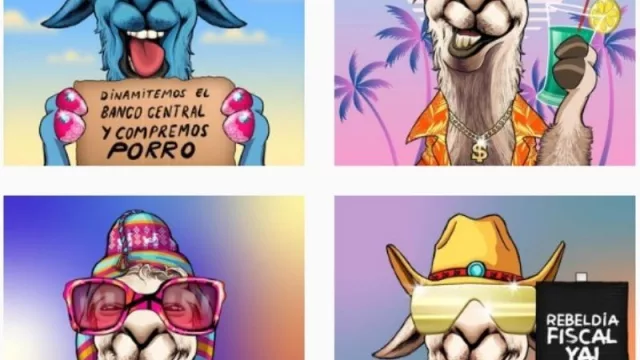 Vuelven Agulla & Baccetti, vuelve "La llama que llama" (traen una colección de 10.100 NFT a unos US$ 250 c/u)