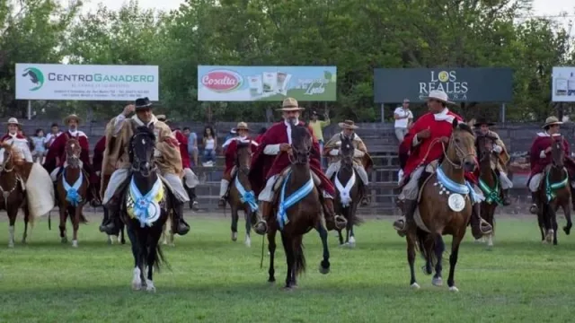 Con récord de inscriptos, este miércoles arranca el 40° Concurso Nacional de Caballos Peruano de Paso