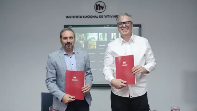 Bodegueros argentinos se podrán sumar al mundo de las criptomonedas respaldadas en vinos