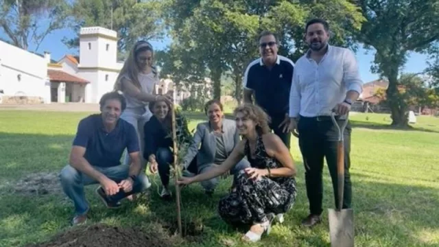 En la ciudad de Salta se desarrolla un Plan de Arbolado