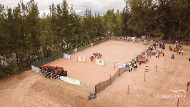 Pistas para campeonatos, hotelería equina, corrales, club house: eso y más ofrece La Joaquina