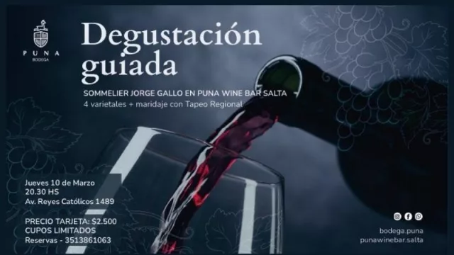 Degustación guiada para aprender de vinos y maridaje (en Puna Wine Bar)