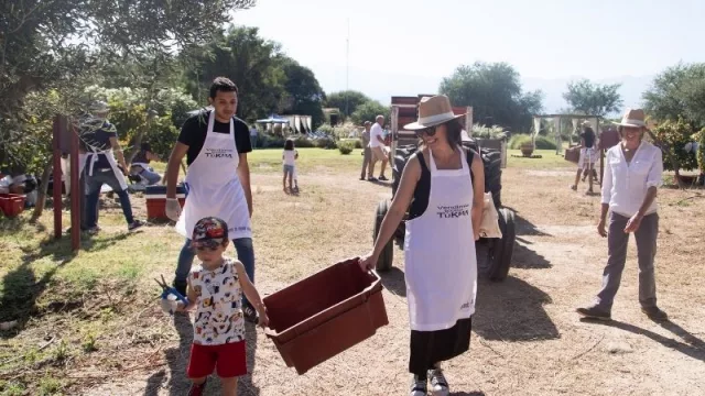 ¡Preparate para ser protagonista de la vendimia de Tukma!