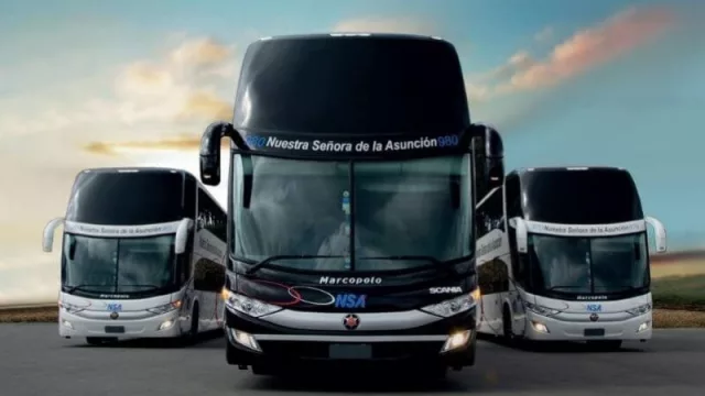 Empresa de transporte NSA repunta localmente con Ciudad del Este en un 70%