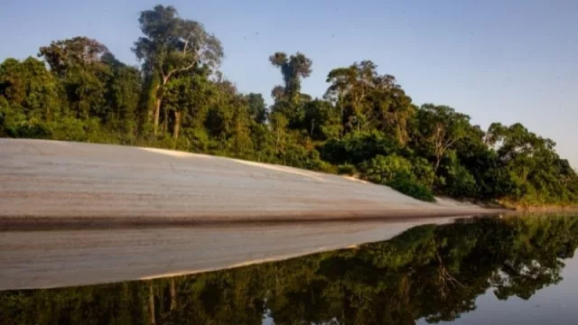 Aguada Park será carbono neutro tras acuerdo con climatech Moss.Earth y US$ 10 millones