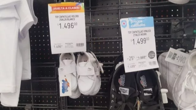 Faltan útiles e indumentaria escolar con precios acordados (Defensa del Consumidor hizo inspecciones) 