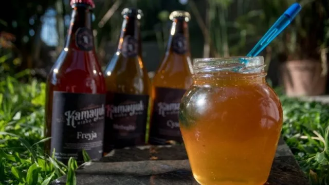 Hidromiel: una bebida milenaria que se abre camino en el paladar salteño