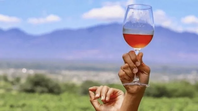 Finca Las Nubes: la expresión del vino en lo más alto del Valle Calchaquí