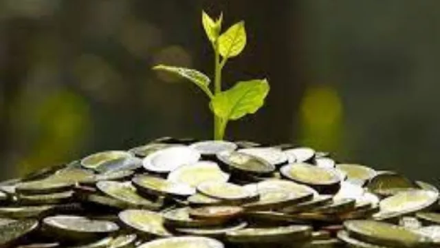 La provincia avanza en gestiones para la llegada de bonos verdes (por el desarrollo sostenible)