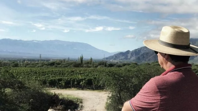 Altupalka, vinos de extrema altura: te contamos lo que es producir muy cerquita del cielo