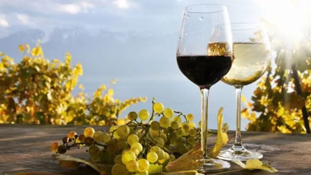 Es récord la exportación de vinos fraccionados argentinos: Salta participa con el 12% en ese mercado