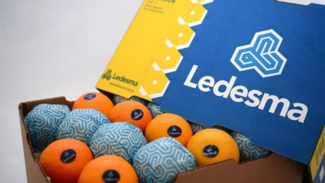 Ledesma volvió a liderar las exportaciones argentinas de cítricos