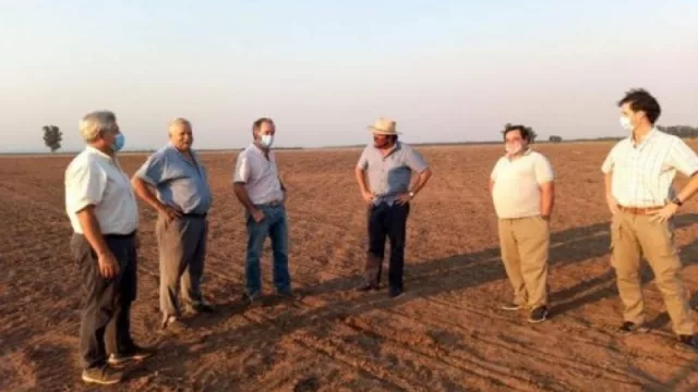 La sequía golpea fuerte a la producción de Anta