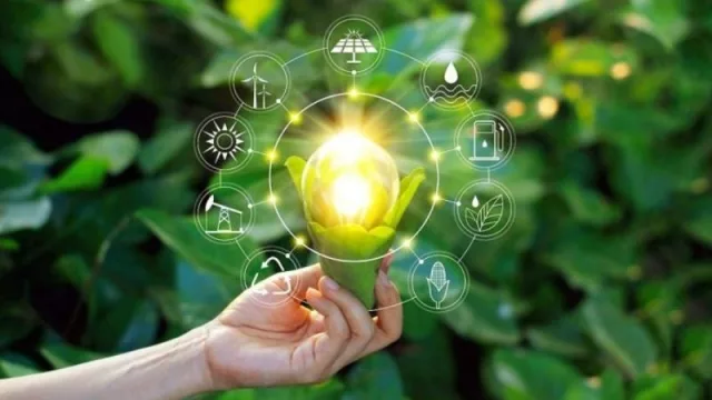 Economía Circular: financian proyectos dedicados a la gestión de materiales en desuso