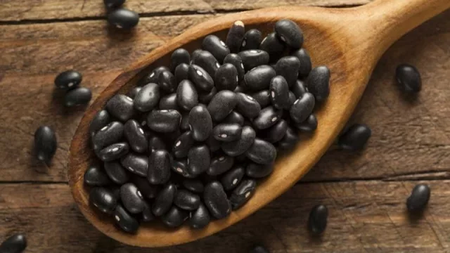 Con una producción de 300.000 hectáreas, Salta se consolida como el mayor productor de porotos del país 