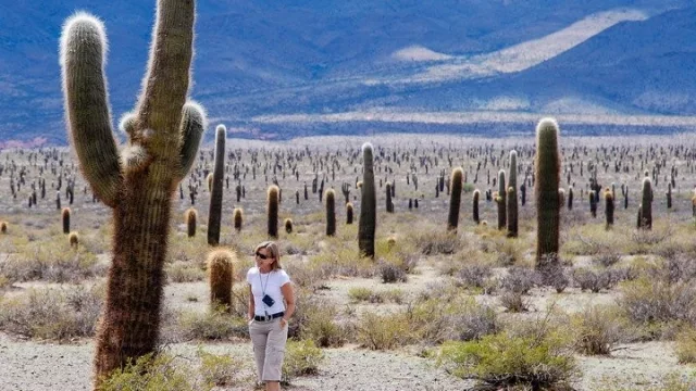 Todos los caminos conducen a Salta: el turismo finalmente logró la tan ansiada recuperación y apunta al crecimiento con una mirada federal