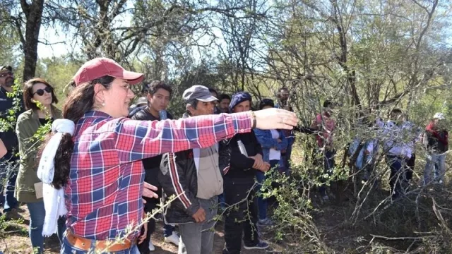 ¿Tenés un proyecto que contribuya a cuidar el ambiente? Esta convocatoria te puede interesar