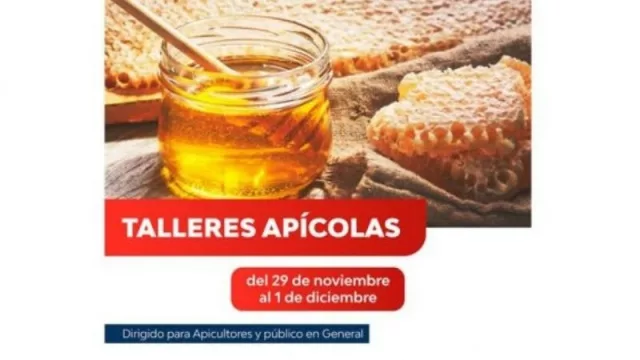 Productores de miel podrán capacitarse para potenciar sus emprendimientos