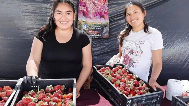El emprendimiento Frutillas Perlas del Valle sigue cosechando clientes en el Valle de Lerma