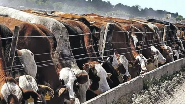 A 31 años de su fundación Inversora Juramento cambia de nombre: Ahora será Juramento