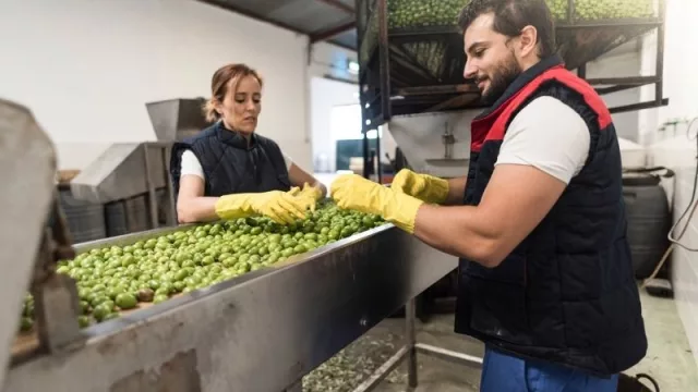 Impulsan el desarrollo productivo a través de una línea de créditos a 15 años, con una tasa de 18%