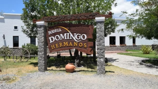 La bodega Domingo Hermanos hace planes para sortear la falta de botellas, ¿Vuelve el vidrio verde? 