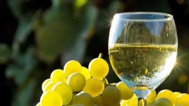 Para disfrutar de manera virtual y presencial: Semana del Torrontés de Altura con el Museo de la Vid y el Vino 