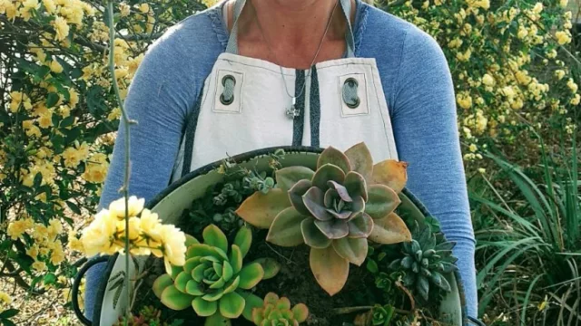 Corazón Suculento, de Ana Orozco: una jardinera de alma que ve la vida en verde 