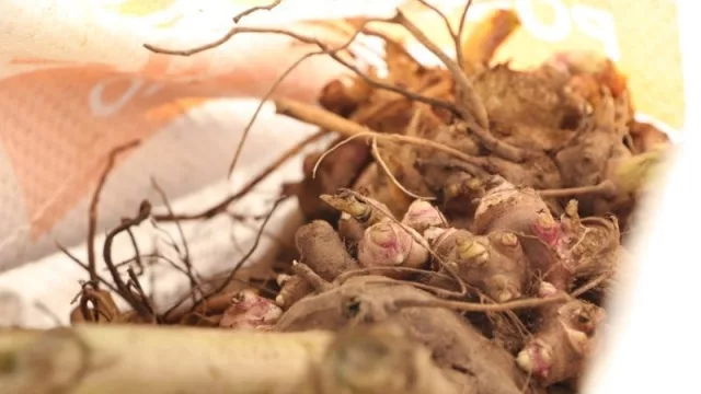 Como guardianes del ecosistema de la Puna, Gotas de vida nos propone conectarnos con la naturaleza y cuidar nuestro bienestar