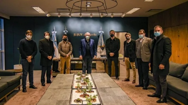 Jujuy gestiona más vuelos con la empresa JetSmart