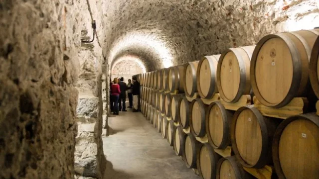 Salta participa del “boom” exportador de vino, pero hay reservas con respecto al mercado interno 