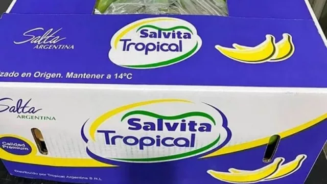 ¡Orgullo salteño! La empresa Salvita produce frutas tropicales Premium