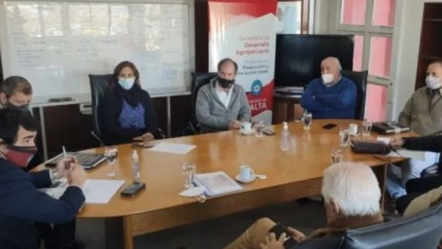 Producción: analizan el impacto que tendrá en Salta el nuevo Plan Ganadero Federal 