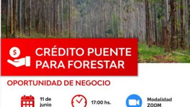 Crédito Puente para Forestar, una oportunidad de negocios amigable con el ambiente (montos desde 60 mil pesos por hectárea a implantar) 