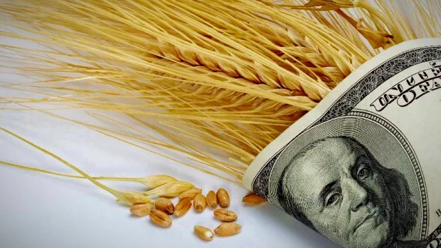 Aumento global del precio de los alimentos: el trigo también generará ingreso de dólares récord