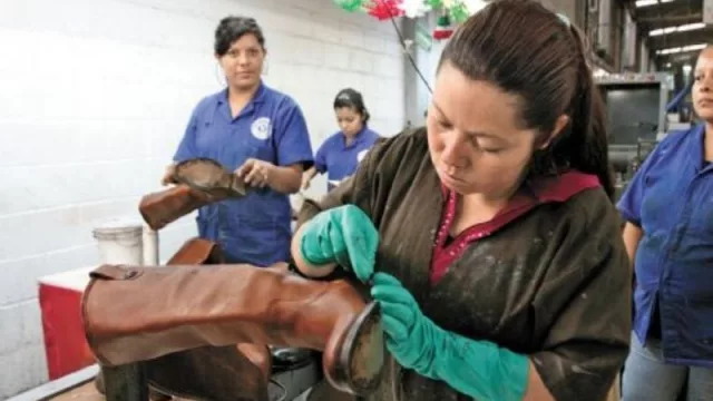 Autonomía de las mujeres: hasta el 11 de junio se pueden postular proyectos productivos para obtener financiamiento