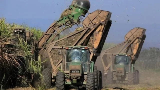 El nuevo proyecto de Ley de Biocombustibles despeja dudas, y ya sumó un voto positivo por Salta: el de la diputada Alcira Figueroa
