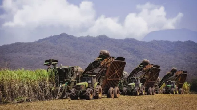 Ledesma iniciará la zafra en mayo con una previsión de molienda similar a la del 2020