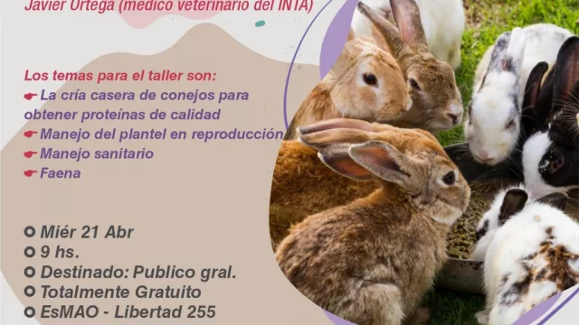 El Carril: brindan herramientas para la generación de proyectos productivos a través de la cría de conejos