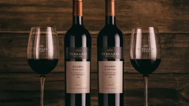 Celebrar con Malbec, una semana de la insignia vitivinícola argentina 