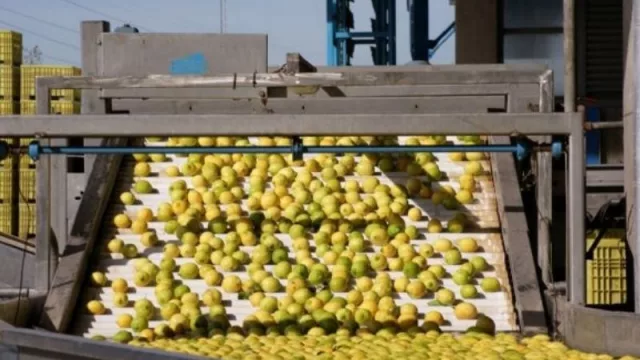 Dato poco alentador: ¿Cómo les fue a las exportaciones tucumanas durante el 2020?