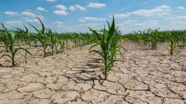 Pedirán ayuda al Gobierno Nacional para asistir a los productores en emergencia agropecuaria