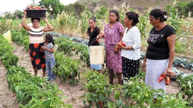 Buena noticia para la Agricultura Familiar: se otorgarán créditos con tasas subsidiadas